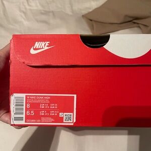 Nike Dunk Jordan